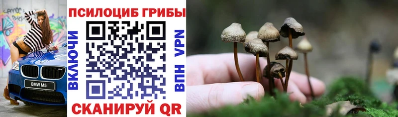 Галлюциногенные грибы мицелий  Великий Новгород 